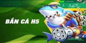 Bắn Cá H5 - Trò Chơi Giải Trí Đỉnh Cao Trên Di Động